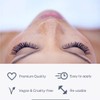 CLARA COSMETICS Premium 3D Eyelashes Everyday, Natural Look, Transparent Band,