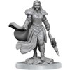 WizKids D&D Nolzur's Marvelous Miniatures: Orc Fighter Female