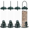 Guador Bird Feeder 4 Pieces Grains Feeding Column Grains Bird