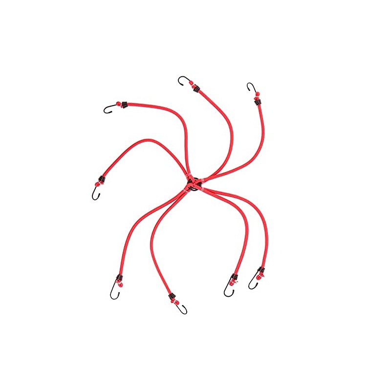 DEKTON DT70676 Spider Hook Bungee Cords, Black/Red, 40-inch x 8