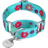 Dazzber Martingale Collars for Dogs, Adjustable, Heavy-Duty, Soft, Smooth, Easy