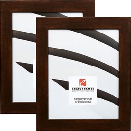 Craig Frames Bauhaus, Modern Aged Copper Picture Frame, 8 x 10 Inch, Set of 2