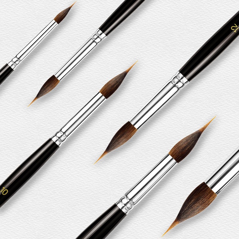 6 PCS Watercolor Brushes Professional, Extended Needle Point Brushes with