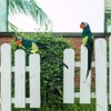 Beautiful Unique Simulation Parrot Decor Artificial Feather Bird Garden Landscape
