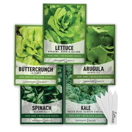 Gardeners Basics Lettuce and Greens Heirloom Vegetable Seed Non-GMO Seeds for Planting Indoors and Outdoor - Lettuce Buttercrunch, Romaine, Arugula, Kale and Spinach, Pack of 5