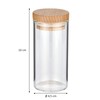Zassenhaus 2 Spice Jars for Spice Rack, Borosilicate Glass, Beech,