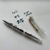 Fountain Pen (Fountain Pen, Fountain Pen, Transparent Axis, Includes Converter)