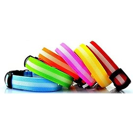 Bunty Adjustable LED Flashing Light Safety Luminous Dog Puppy Pet Glowing Collar - Green - Large