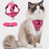 Arnés y Correa para Perros Gato,Pechera con 1.5M de Correa,