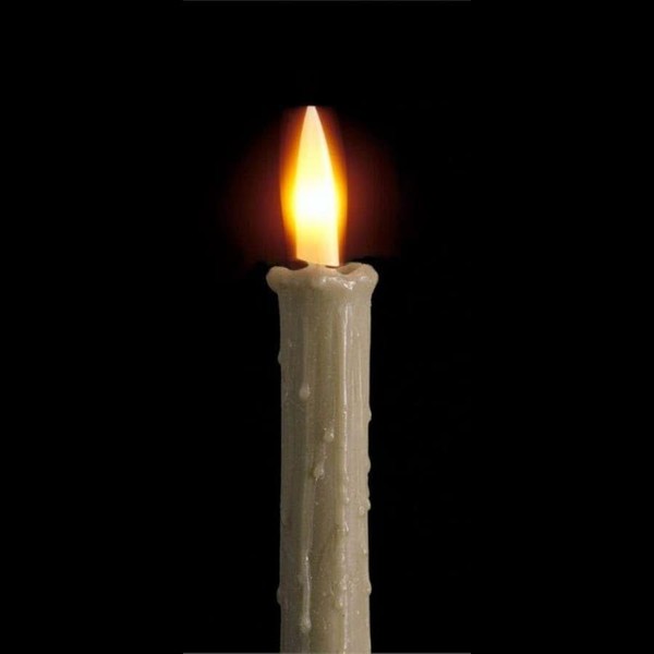 The Electric Company Ultimate Wax Candle Sleeve | Made of