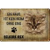FEMER Blechschild Spruch 30x20cm Selkirk Rex Katze ohne kein Heim