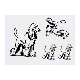4 x 'Afghan Hound Dog' Temporary Tattoos - Water Resistant, Skin-Safe, Non-Toxic Transfers, Mixed Sizes (TO00071256)