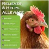 Chicken's Choice Wound Care for Chickens & Birds. Advanced Wound