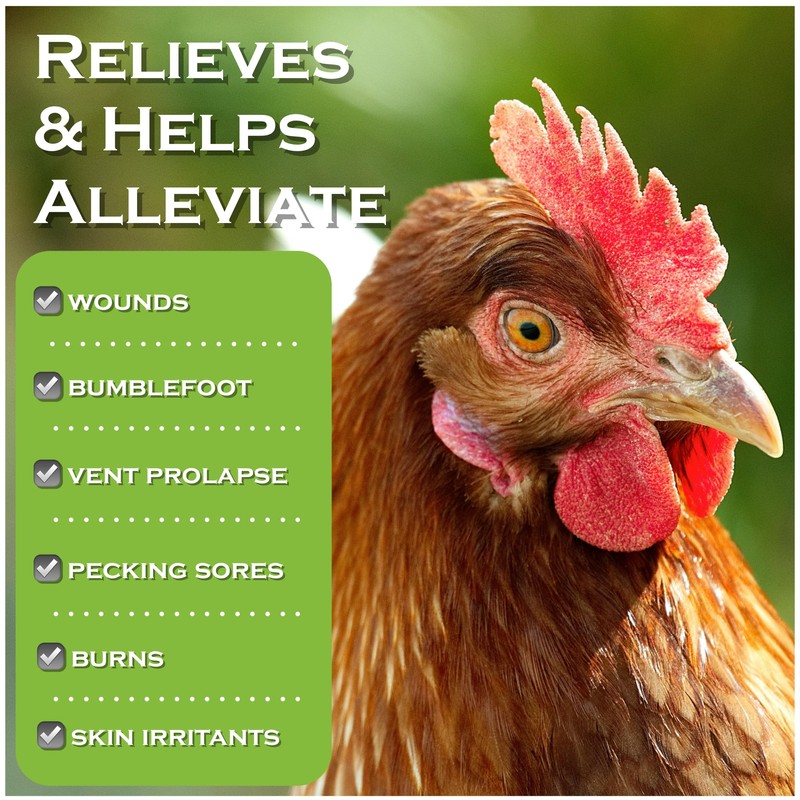 Chicken's Choice Wound Care for Chickens & Birds. Advanced Wound