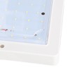 8x8 Inch DC 12‑24V Square RV Cabin Ceiling Lamp 9W