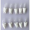 ShuoHui Clear 12 Volt Mini Christmas Replacement Bulbs for Incandescent