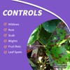 Bonide Fung-onil Multi-Purpose Fungicide, 16 oz Concentrate for Plant Disease