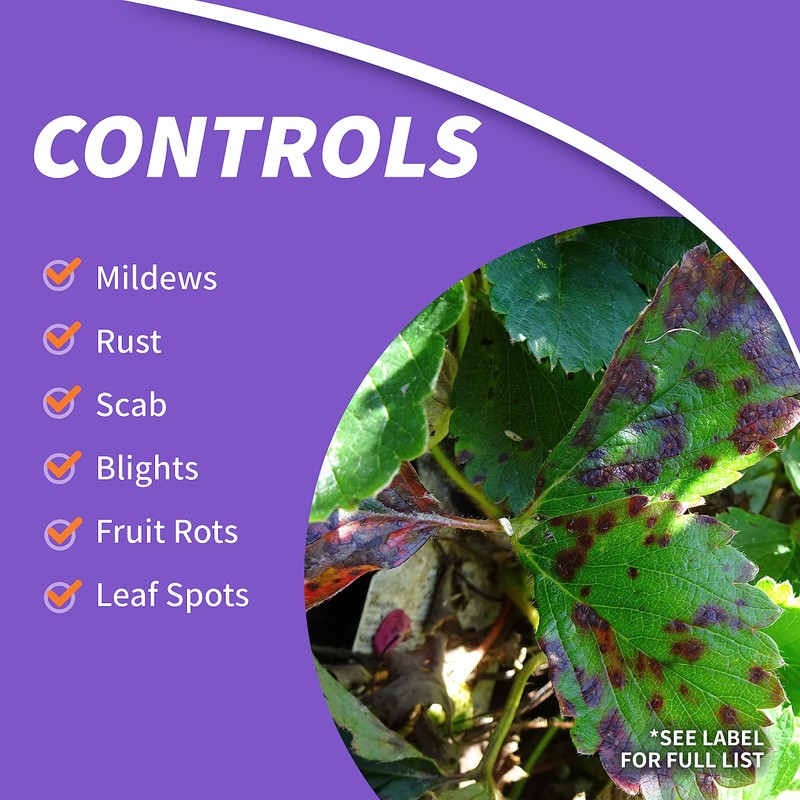 Bonide Fung-onil Multi-Purpose Fungicide, 16 oz Concentrate for Plant Disease