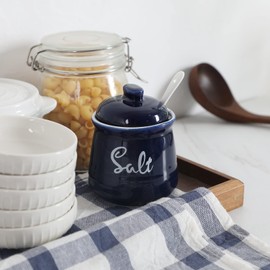 HAOTOP Farmhouse Porcelain Salt Bowl with Lid and Spoon 12oz,Easy to Clean (Navy)
