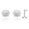 Ocean's Beauty Scallop Sea Shell .925 Sterling Silver Stud Earrings