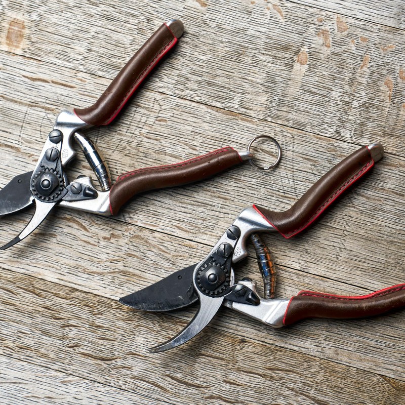 FELCO Model 8 Elite Secateurs Ergonomic Design LRG hands Hardened