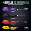 Bandas de Resistencia para Ejercicio Set de 9 Piezas, Ligas