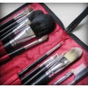 Royal Brush S.I.L.K set de brochas para viaje 12 piezas