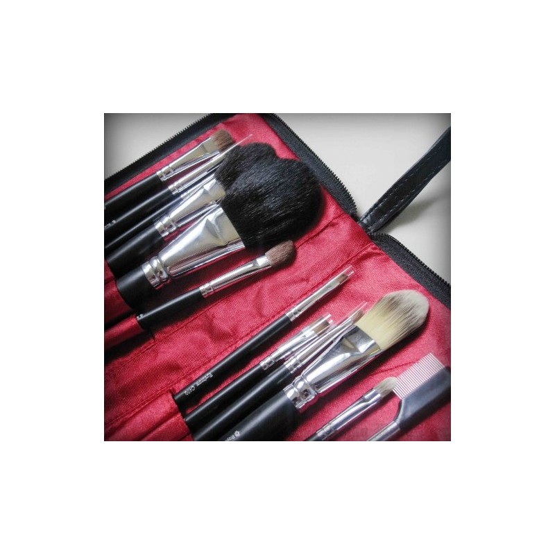 Royal Brush S.I.L.K set de brochas para viaje 12 piezas