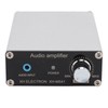 Subwoofer Amplifier Dual Channel Digital TPA3116D2 Power Amp Board for