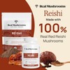 Real Mushrooms Reishi Powder - Organic Mushroom Extract Supplement with