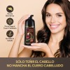 Shampoo Con Aceite De Argán Tinte Cubre Canas-marrón Oscuro