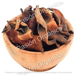 Pasión Orgánica Yoloxochitl Magnolia Flor Certificada Infusión Remedio Natural Listo Preparar