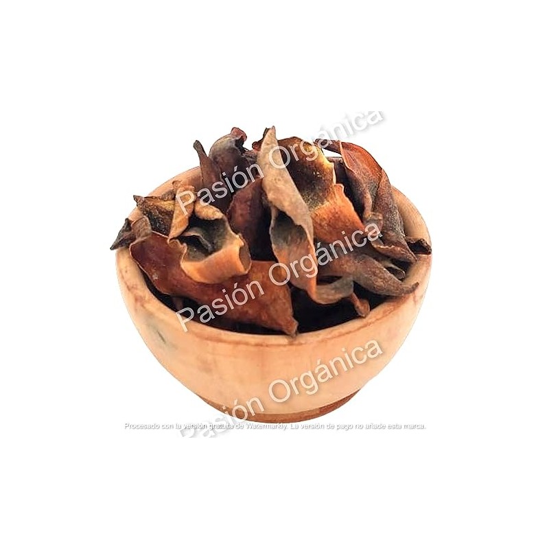Pasión Orgánica Yoloxochitl Magnolia Flor Certificada Infusión Remedio Natural Listo
