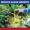 The Pond Guy InstaFix Algae Control, Outdoor Water Garden, Fountain