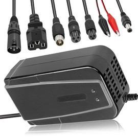 36V 3A Lead Acid Battery Charger for GT GT750 IZIP I600 (Not for Li ion Batteries)