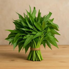 Kong Xin CAI Seeds, 0.5 Ounce 300+ Green Leaf Vegetable Seeds for Planting Non-GMO Choy Ong Seeds