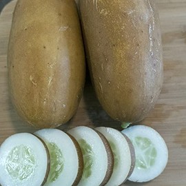 Brown Russian Cucumber Seeds - 1 Oz ~950 Seeds - Non-GMO, Heirloom - Vegetable Garden - Cucumis sativus