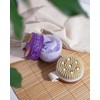 Tropical Fruits Gentle Exfoliating Sugar Scrub & Brush Mango and