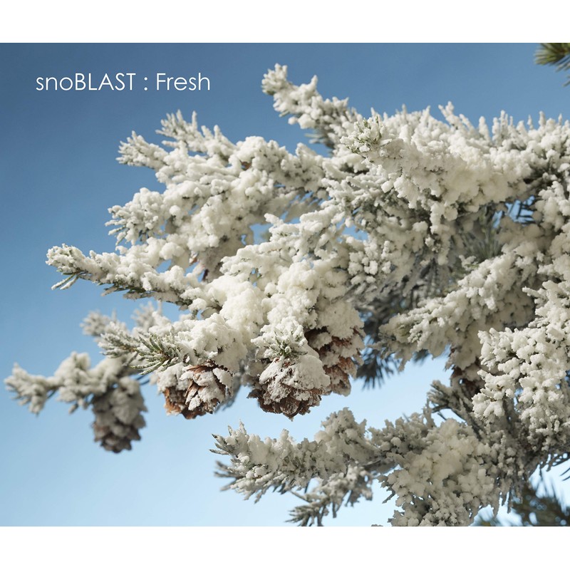 Design Master 840 Snow Blast Spray, White, 32.48" Height