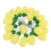 9.8ft 20LEDs Fruit String Lights Battery Operated String Lights for