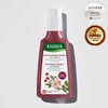 Perm dyed hair Rauch Wild Rose Color Protecting Shampoo 200ml / 펌염색모 라우쉬 와일드로즈 컬러 프로텍팅 샴푸 200ml