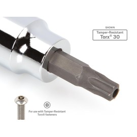 TEKTON 3/8 Inch Drive x TR45 Tamper-Resistant Torx Bit Socket | SHB17245