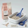 Feline Kitten 2kg Back To Nature Para Gatito