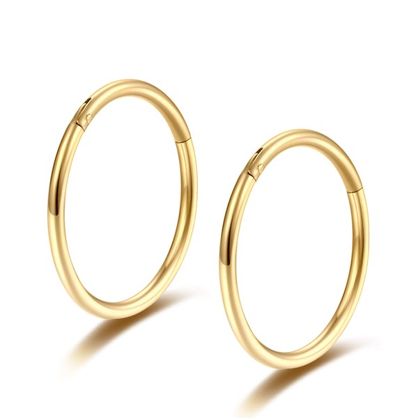 Lantine Pack of 2 16g 18g 20g Nose Piercing Ring