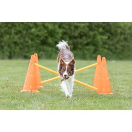 Trixie Dog Agility Hurdle Cone Set, Portable Canine Agility Training Set, 6 Exercise Cones with 3 Agility Rods