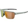 ALPINA Swift HR Stylish Sunglasses for Adults Willow-Green Matt