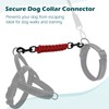 PetBonus Dog Collar Safety Clip, Handmade Backup Safety Strap for