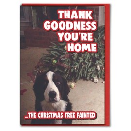 Cheeky Chops Funny Christmas card - Pet Owner- Thank Goodness You're Home - XM332, Multi