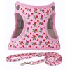 Moonpet Step in Air Dog Harness Leash Set- All Weather