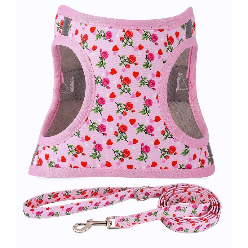 Moonpet Step in Air Dog Harness Leash Set- All Weather